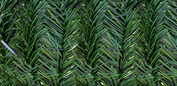 Blue Spruce Hedge Slats