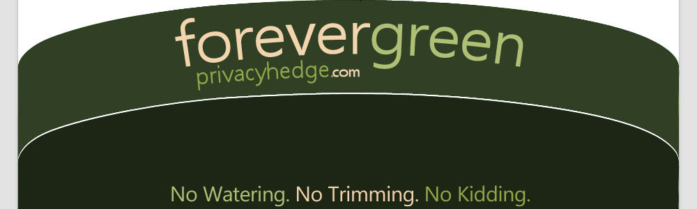 forevergreen privacy hedge