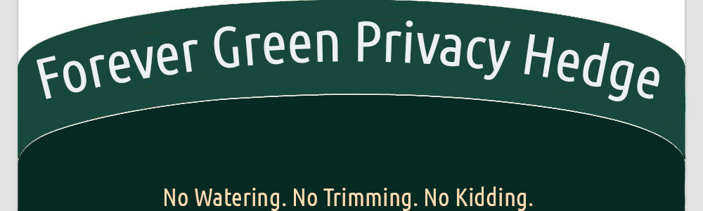 forevergreen privacy hedge